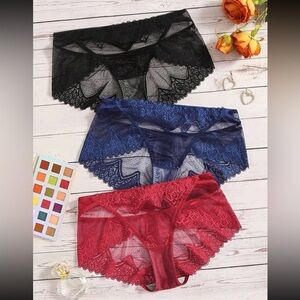 *NEW* Plus Size 3-pack Lace Sheer Panties